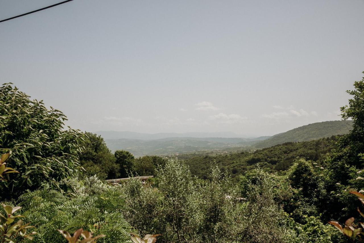 Apartmaji Pajer Koper Exteriér fotografie